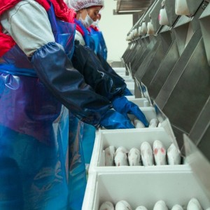 Kilic working in plant.jpg