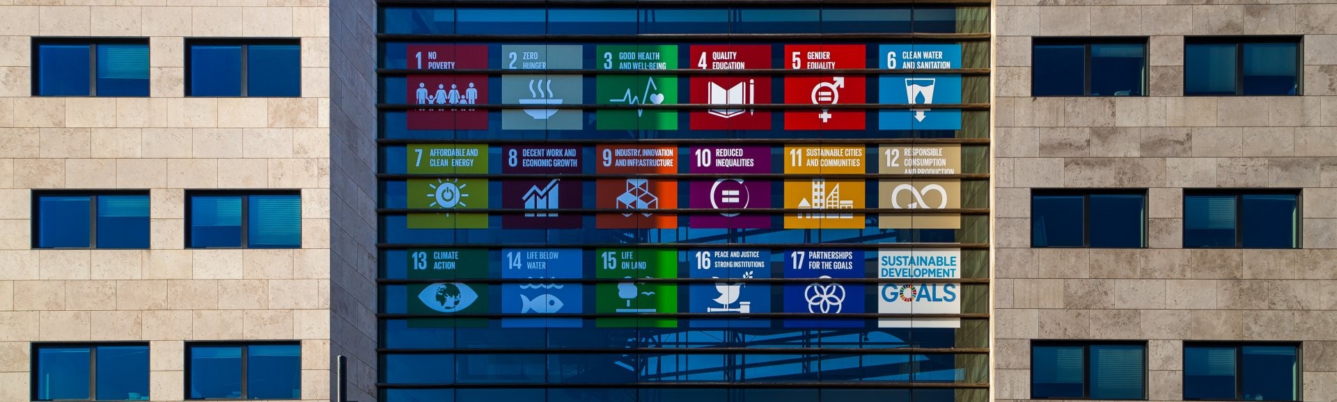 Promoting the SDGs on FMO Building.jpg