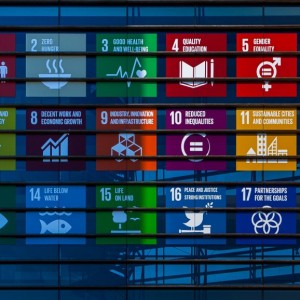 Promoting the SDGs on FMO Building.jpg