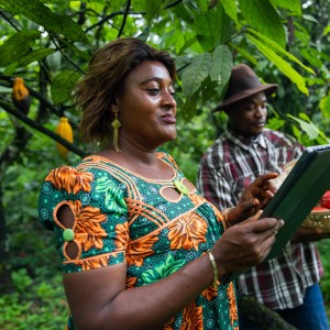 Farmers Africa Cacao