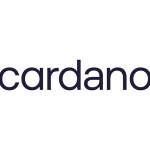 Cardano-Website-wie-zijn-wij-1-850x475.jpg