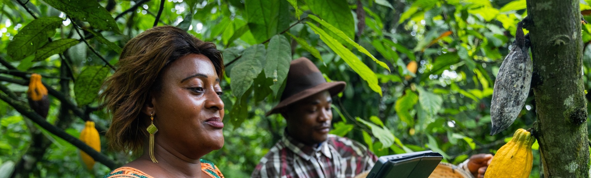 Farmers Africa Cacao