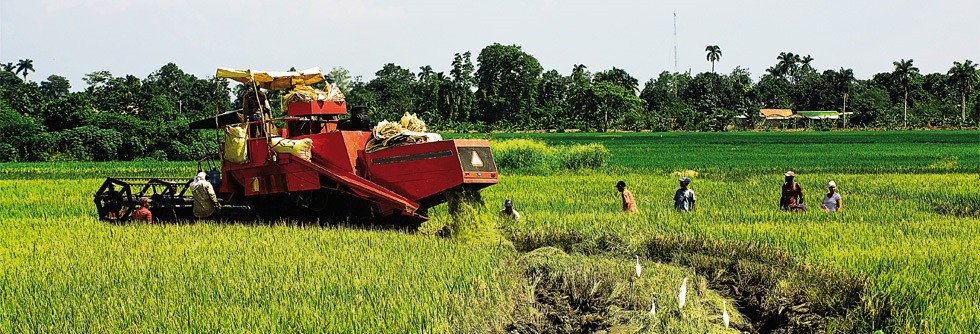 agribusiness.jpg
